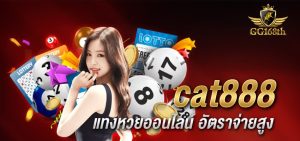 cat888 หวยออนไลน์